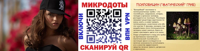 Купить  Инсар  Псилоцибиновые грибы Cubensis 