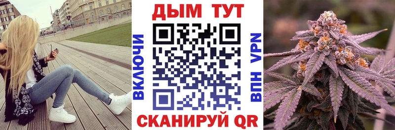 Канабис сатива  Купить где  Инсар 
